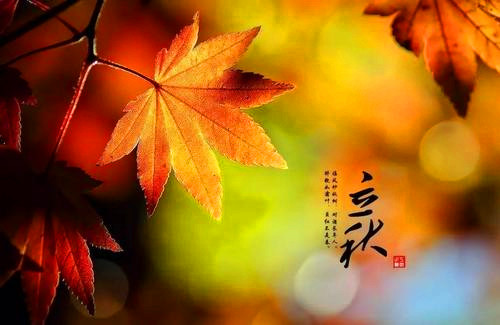 2021立秋古诗朗诵作品