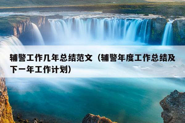 辅警工作几年总结范文(辅警年度工作总结及下一年工作计划)