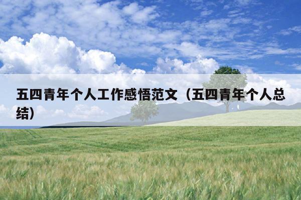五四青年个人工作感悟范文(五四青年个人总结)