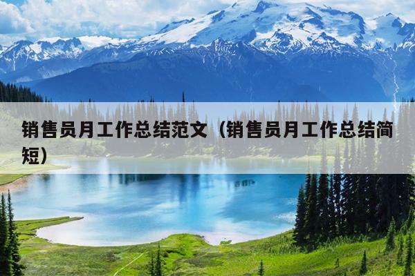销售员月工作总结范文(销售员月工作总结简短)