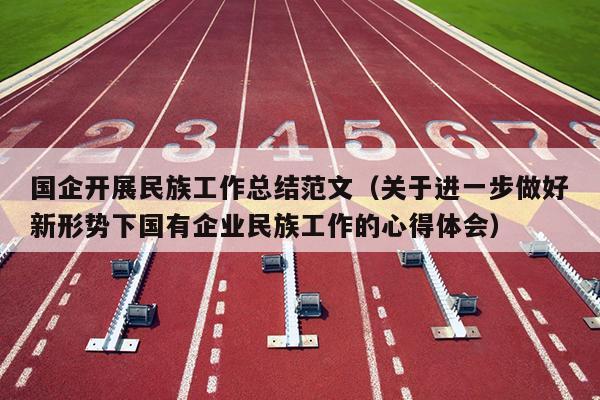 国企开展民族工作总结范文(关于进一步做好新形势下国有企业民族工作的心得体会)