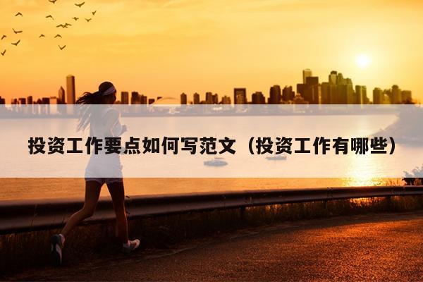 投资工作要点如何写范文(投资工作有哪些)