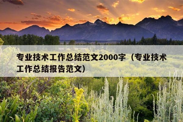 专业技术工作总结范文2000字(专业技术工作总结报告范文)
