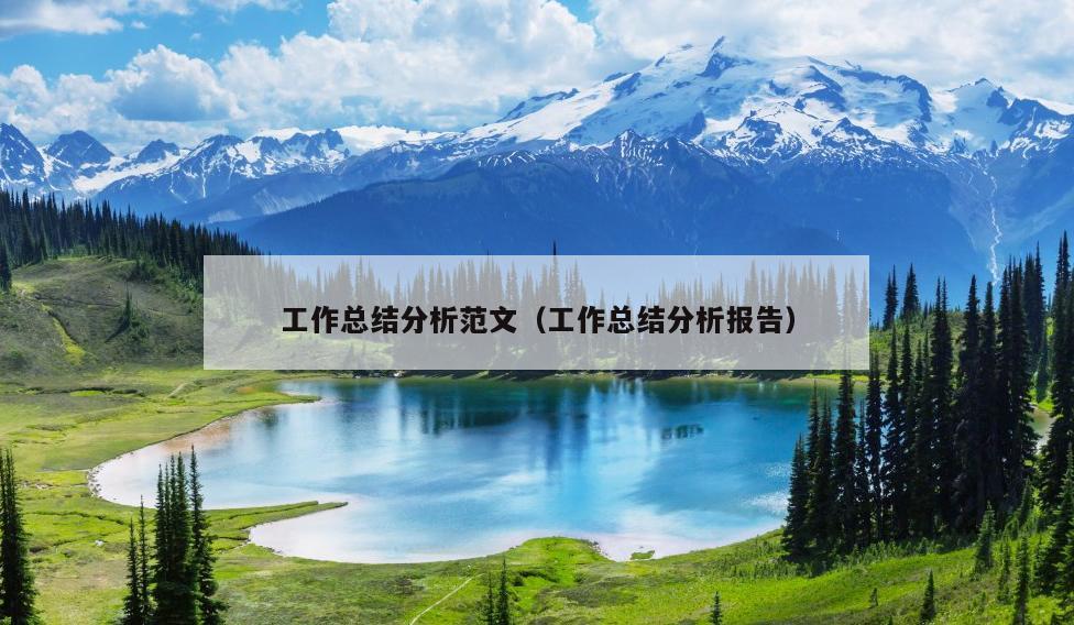 工作总结分析范文(工作总结分析报告)