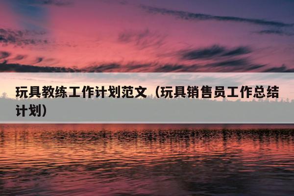 玩具教练工作计划范文(玩具销售员工作总结计划)