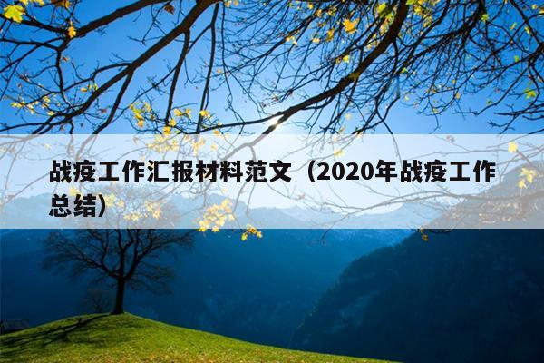 战疫工作汇报材料范文(2020年战疫工作总结)