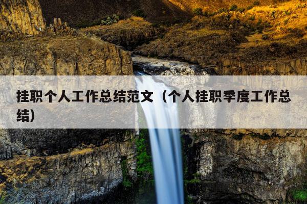 挂职个人工作总结范文(个人挂职季度工作总结)