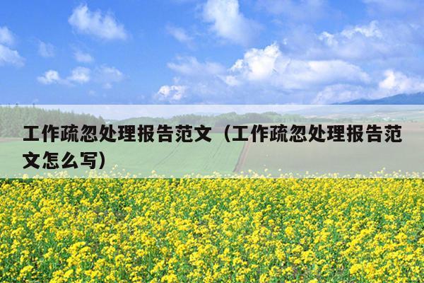 工作疏忽处理报告范文(工作疏忽处理报告范文怎么写)