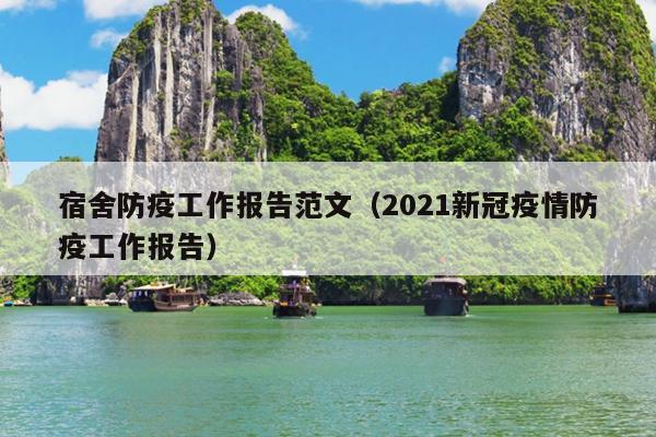 宿舍防疫工作报告范文(2021新冠疫情防疫工作报告)