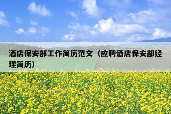 酒店保安部工作简历范文(应聘酒店保安部经理简历)
