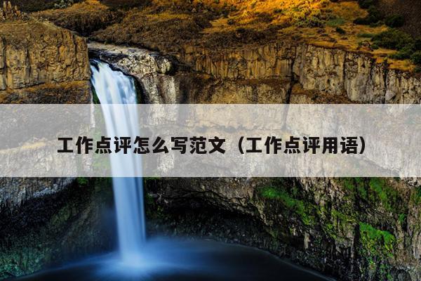 工作点评怎么写范文(工作点评用语)