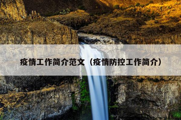 疫情工作简介范文(疫情防控工作简介)