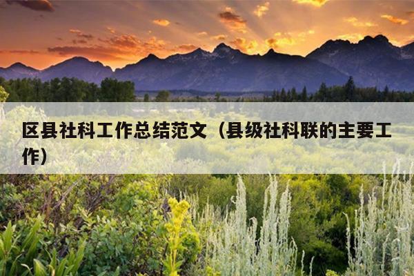 区县社科工作总结范文(县级社科联的主要工作)