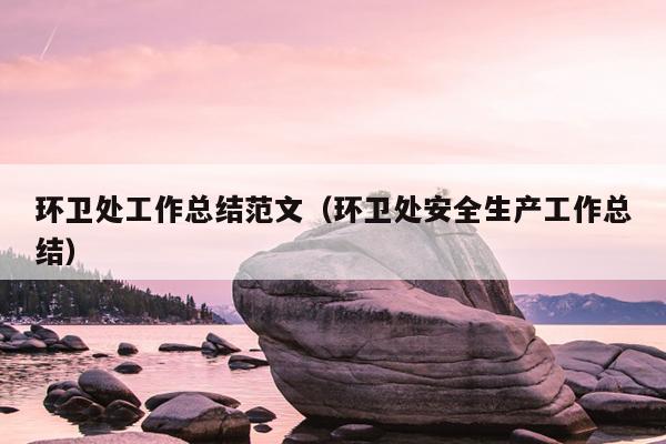 环卫处工作总结范文(环卫处安全生产工作总结)