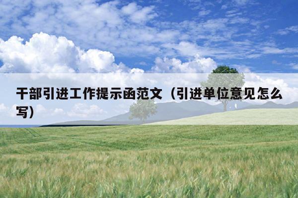 干部引进工作提示函范文(引进单位意见怎么写)