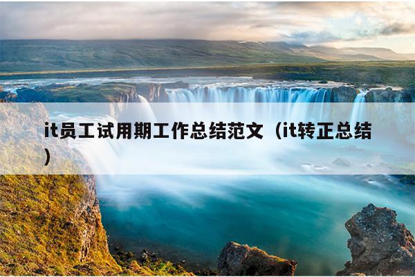 it员工试用期工作总结范文(it转正总结)