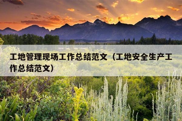 工地管理现场工作总结范文(工地安全生产工作总结范文)