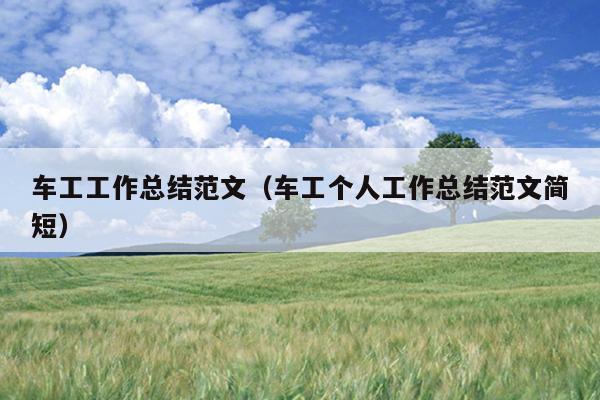 车工工作总结范文(车工个人工作总结范文简短)