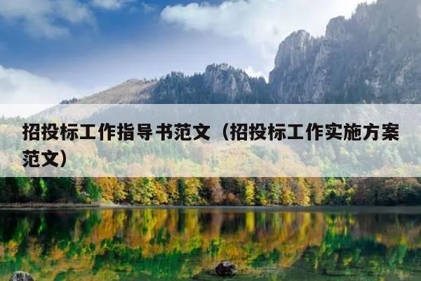招投标工作指导书范文(招投标工作实施方案范文)