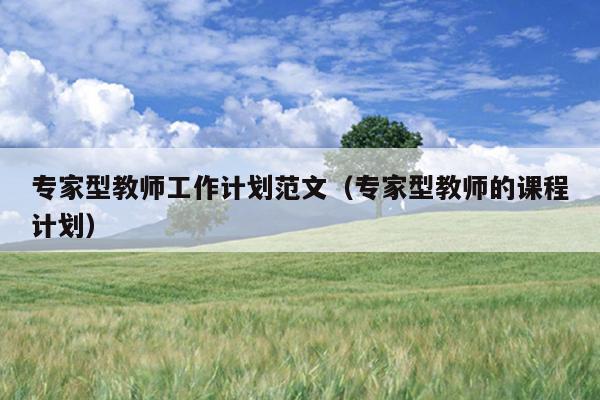 专家型教师工作计划范文(专家型教师的课程计划)