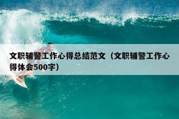 文职辅警工作心得总结范文(文职辅警工作心得体会500字)