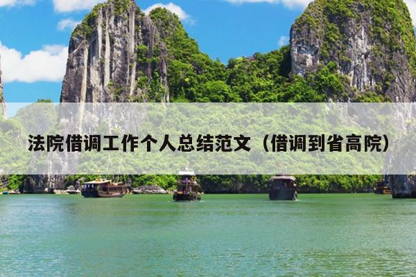 法院借调工作个人总结范文(借调到省高院)