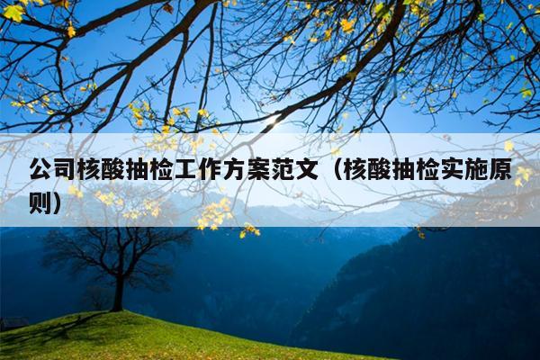 公司核酸抽检工作方案范文(核酸抽检实施原则)