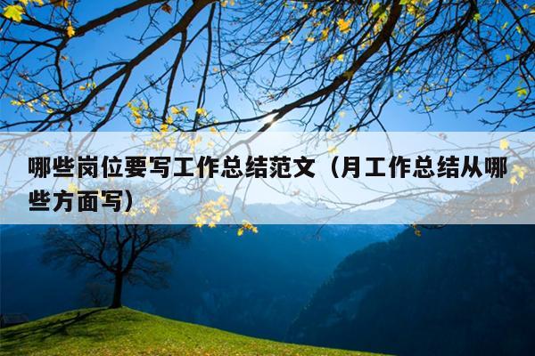哪些岗位要写工作总结范文(月工作总结从哪些方面写)