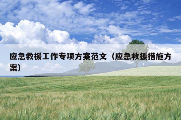 应急救援工作专项方案范文(应急救援措施方案)