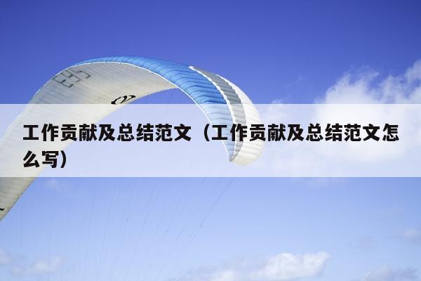 工作贡献及总结范文(工作贡献及总结范文怎么写)