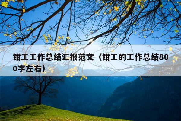 钳工工作总结汇报范文(钳工的工作总结800字左右)
