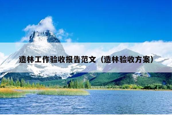 造林工作验收报告范文(造林验收方案)