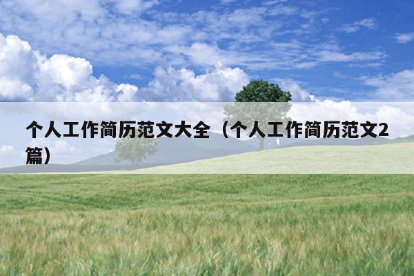 个人工作简历范文大全(个人工作简历范文2篇)