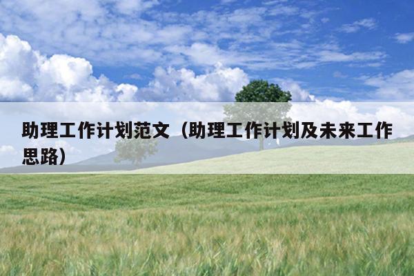 助理工作计划范文(助理工作计划及未来工作思路)
