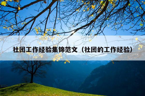 社团工作经验集锦范文(社团的工作经验)
