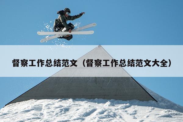 督察工作总结范文(督察工作总结范文大全)