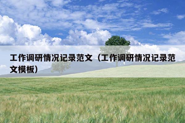 工作调研情况记录范文(工作调研情况记录范文模板)