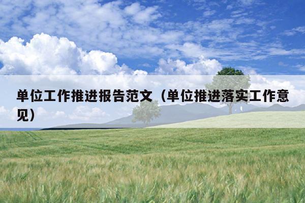 单位工作推进报告范文(单位推进落实工作意见)