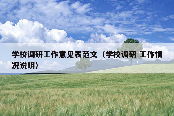 学校调研工作意见表范文(学校调研 工作情况说明)