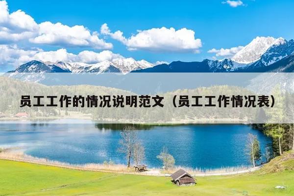 员工工作的情况说明范文(员工工作情况表)