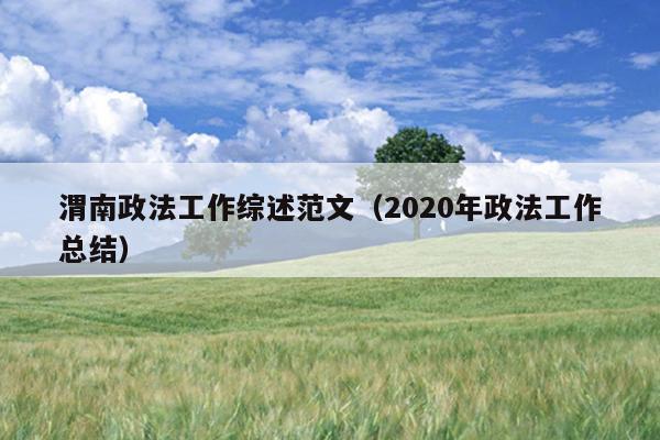 渭南政法工作综述范文(2020年政法工作总结)