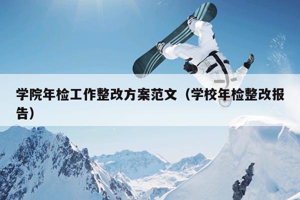 学院年检工作整改方案范文(学校年检整改报告)