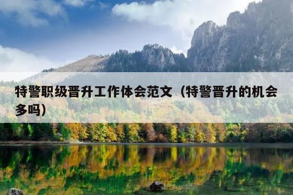 特警职级晋升工作体会范文(特警晋升的机会多吗)