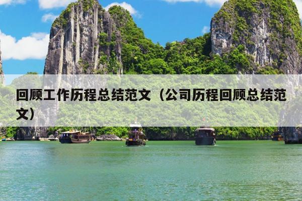 回顾工作历程总结范文(公司历程回顾总结范文)