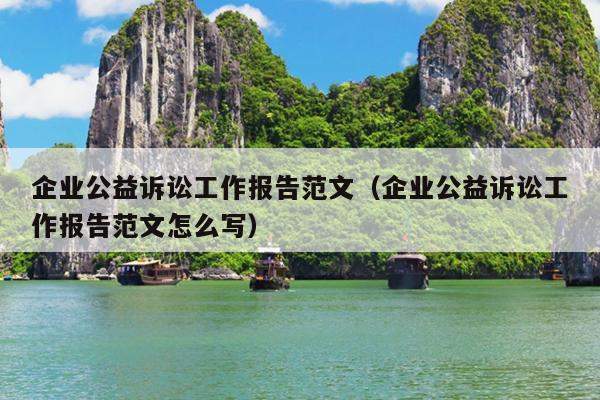 企业公益诉讼工作报告范文(企业公益诉讼工作报告范文怎么写)