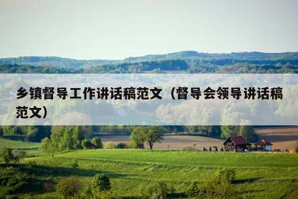 乡镇督导工作讲话稿范文(督导会领导讲话稿范文)