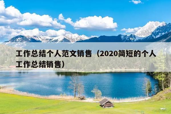 工作总结个人范文销售(2020简短的个人工作总结销售)