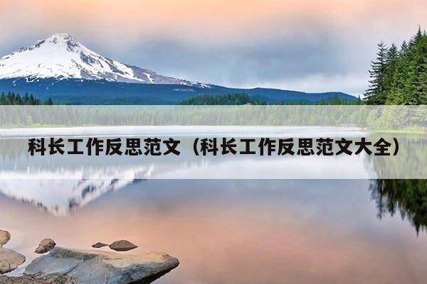 科长工作反思范文(科长工作反思范文大全)