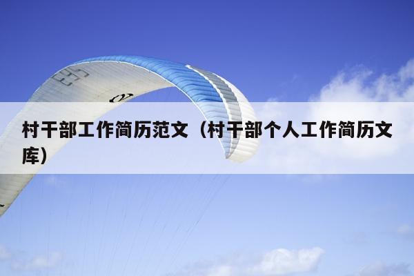 村干部工作简历范文(村干部个人工作简历文库)
