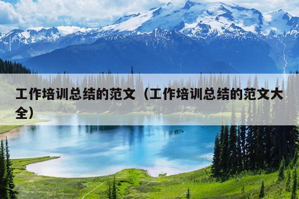 工作培训总结的范文(工作培训总结的范文大全)